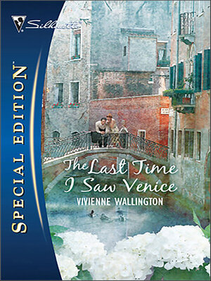 cover image of The Last Time I Saw Venice